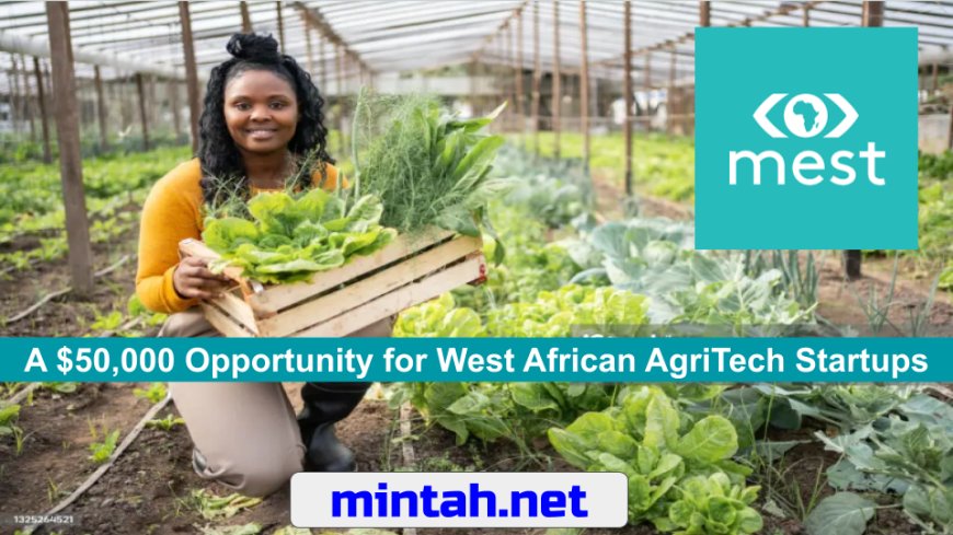 MEST Africa Challenge 2024: A $50,000 Opportunity for West African AgriTech Startups