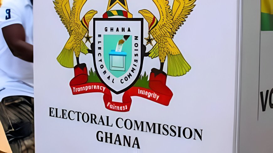 EC Releases Provisional Ballot Statistics For 2024 Elections