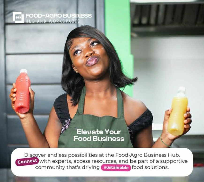 The Food-Agro Business Hub and Workspaces Opens Funding For Entrepreneurs