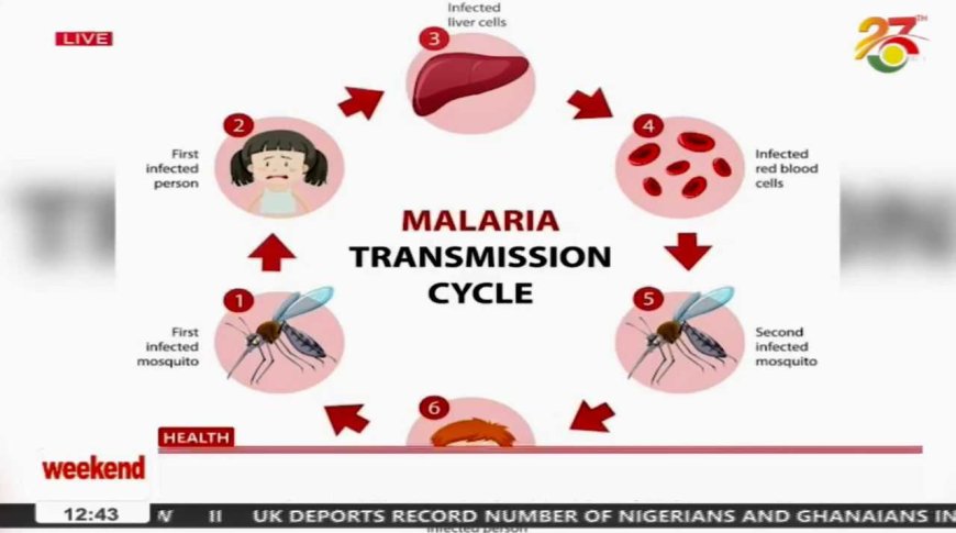 GHS: By 2028, Ghana wants to cut malaria deaths by 90%