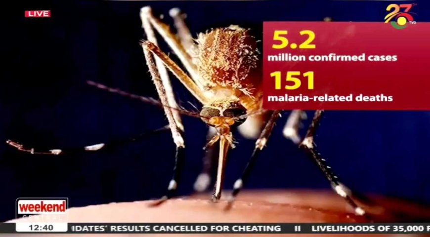 GHS: By 2028, Ghana wants to cut malaria deaths by 90%