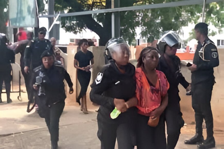 Seven Democracy Hub Protesters Acquitted