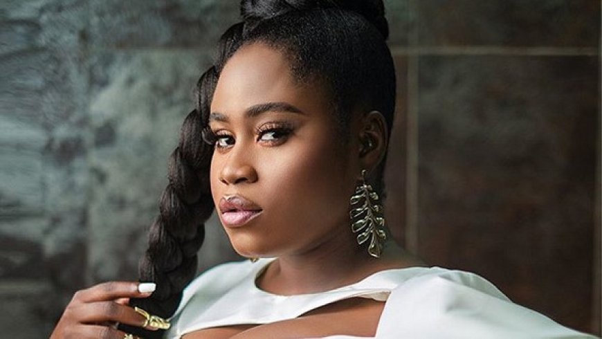 Lydia Forson Fires Meek Mill After He Revealed Plans to Return to Ghana