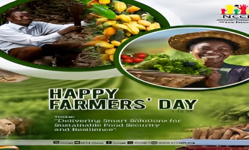 2024 National Farmers' Day to Be Celebrated on November 8 in Accra