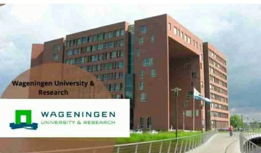 Wageningen University Scholarships for African Students 2025