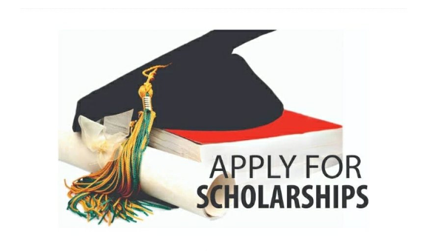 Apply for the 2025 Eurasexx Scholarship to Study in France