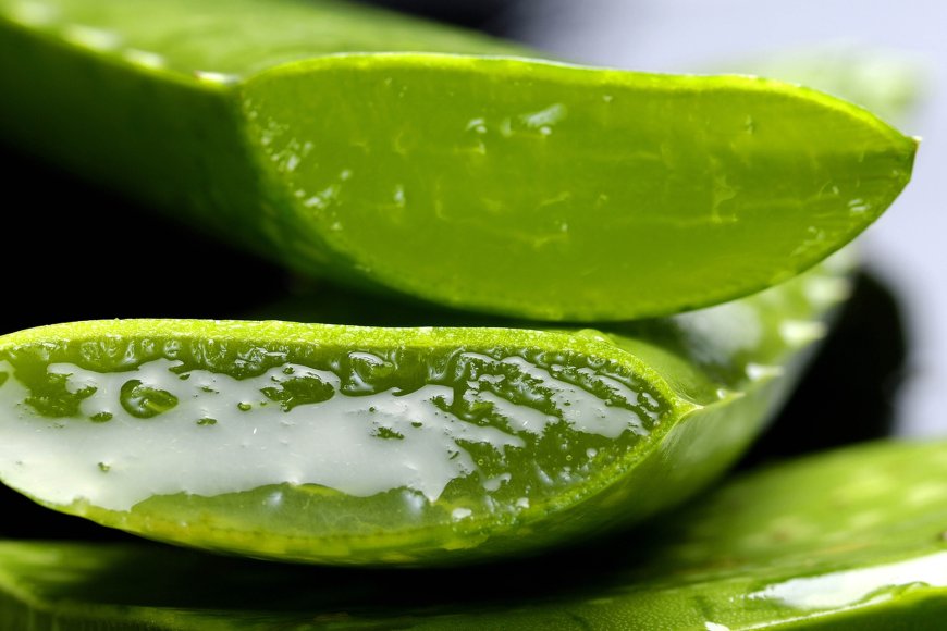 3 Incredible Secret Benefits of  Aloe Vera for Hair Growth